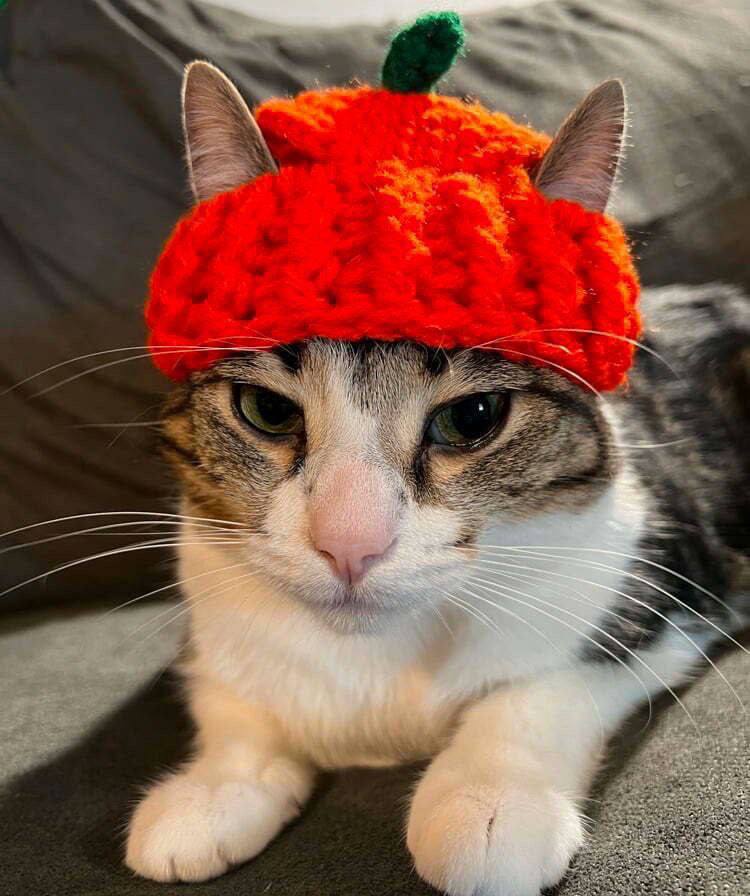 Rezygnacja z czapki zimą może spowodować łysienie!